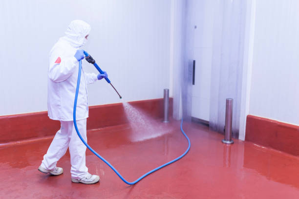 Best Rust Removal  in Rocky Ford, CO